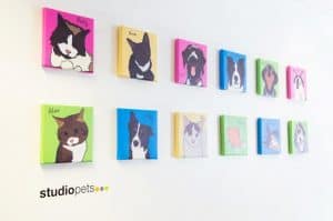 the studio venues meeting and events Birmingham pets